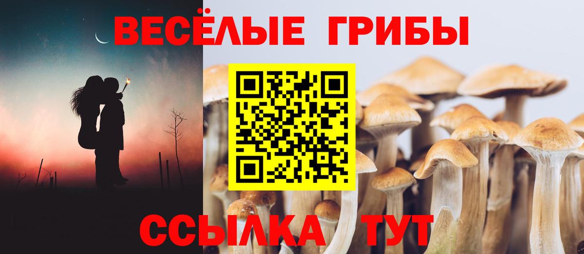Галлюциногенные грибы Magic Shrooms  Вход с VPN  Жуковский 